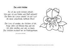 Das-erste-Veilchen-Ebert-ausmalen.pdf